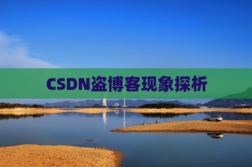 CSDN盗博客现象探析 CSDN盗博客现象探析